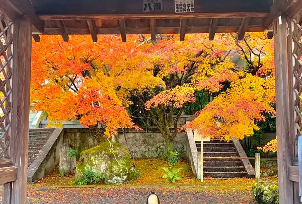 法輪寺の写真・動画_image_479325