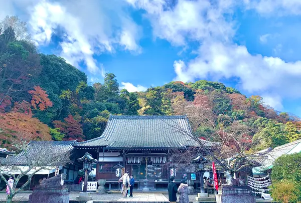 法輪寺の写真・動画_image_479330