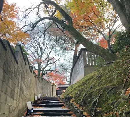 法輪寺の写真・動画_image_479331