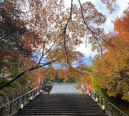 法輪寺の写真・動画_image_479333