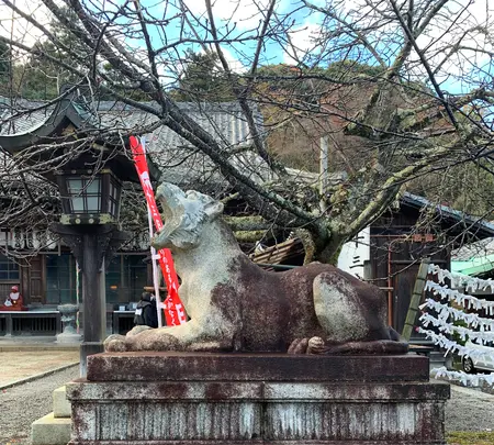 法輪寺の写真・動画_image_479334