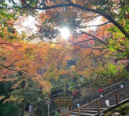 法輪寺の写真・動画_image_479335