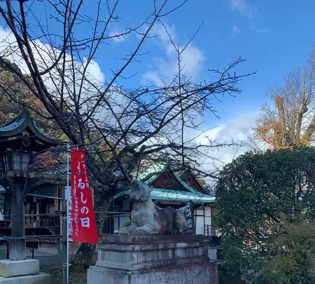 法輪寺の写真・動画_image_479340