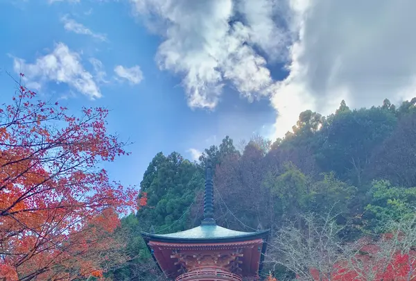 法輪寺の写真・動画_image_479341