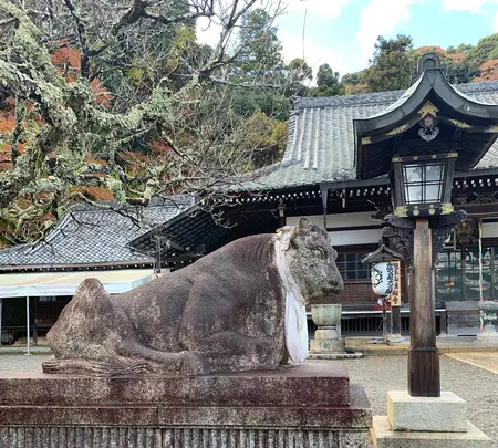 法輪寺の写真・動画_image_479343