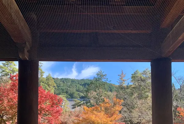 南禅寺の写真・動画_image_479398