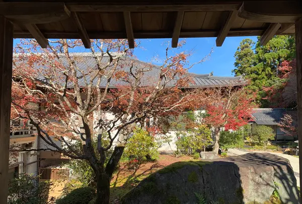 南禅寺の写真・動画_image_479402