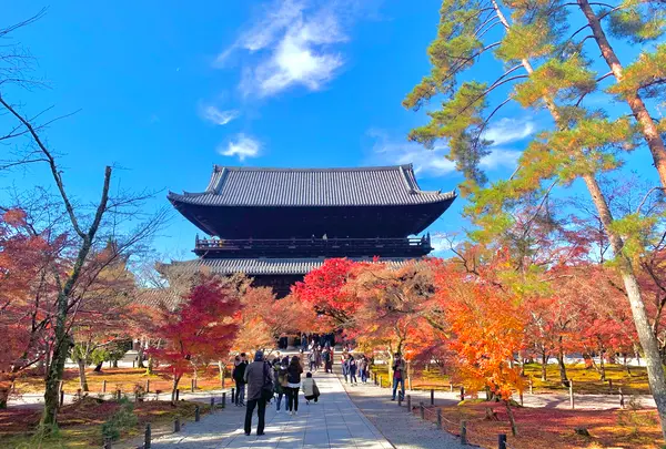 南禅寺の写真・動画_image_479403