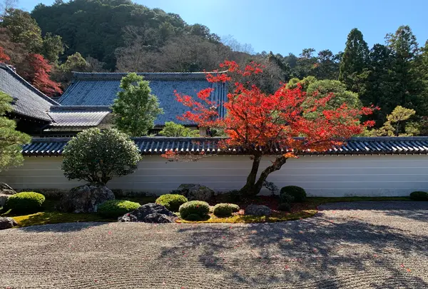 南禅寺の写真・動画_image_479404