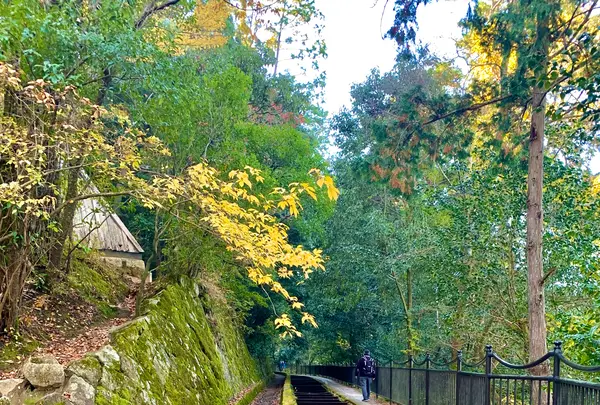 水路閣の写真・動画_image_479412