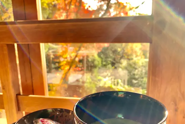 伏見稲荷大社の写真・動画_image_479434