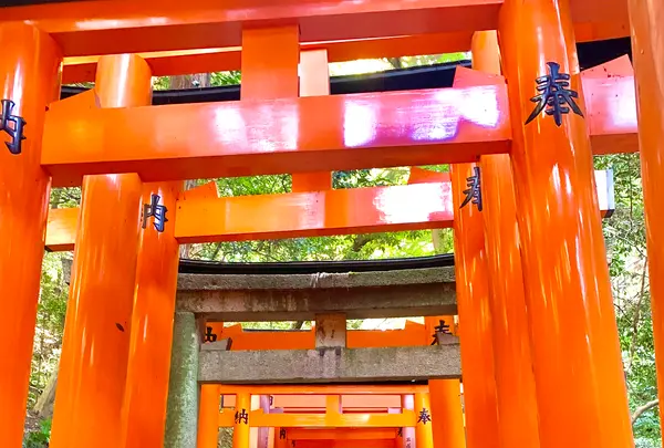 伏見稲荷大社の写真・動画_image_479442