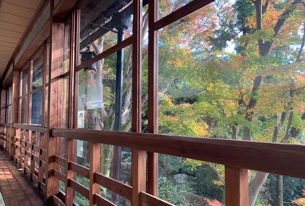 伏見稲荷大社の写真・動画_image_479443