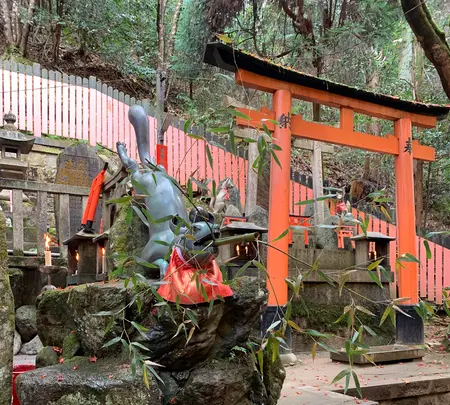 伏見稲荷大社の写真・動画_image_479445