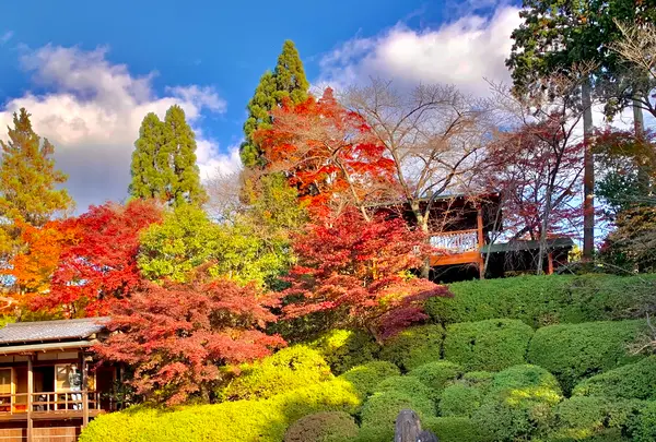 東福寺　光明院の写真・動画_image_479468