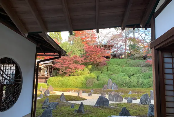 東福寺　光明院の写真・動画_image_479469