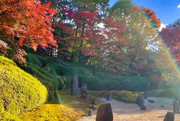 東福寺　光明院の写真・動画_image_479472