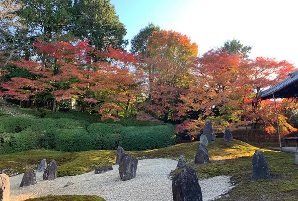 東福寺　光明院の写真・動画_image_479474