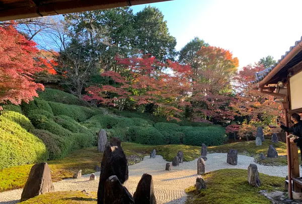 東福寺　光明院の写真・動画_image_479475