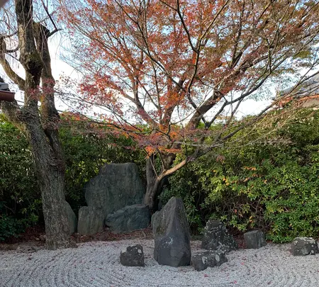 東福寺　光明院の写真・動画_image_479476