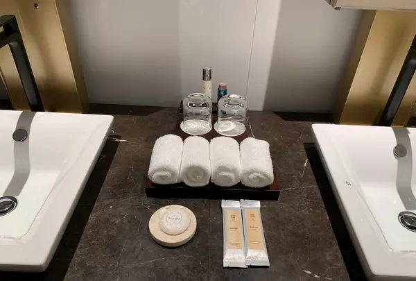 THE HOTEL SEIRYU KYOTO KIYOMIZU（ザ・ホテル青龍 京都清水）の写真・動画_image_479477