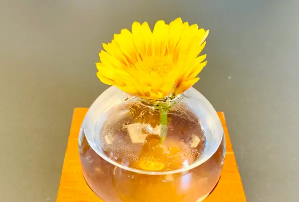 THE HOTEL SEIRYU KYOTO KIYOMIZU（ザ・ホテル青龍 京都清水）の写真・動画_image_479492