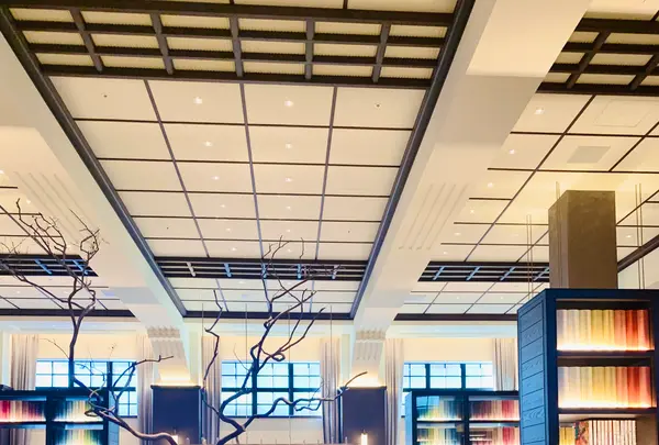 THE HOTEL SEIRYU KYOTO KIYOMIZU（ザ・ホテル青龍 京都清水）の写真・動画_image_479513