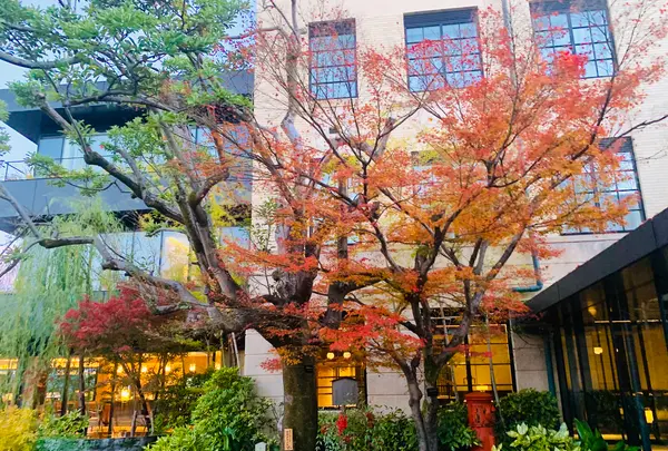 THE HOTEL SEIRYU KYOTO KIYOMIZU（ザ・ホテル青龍 京都清水）の写真・動画_image_479526