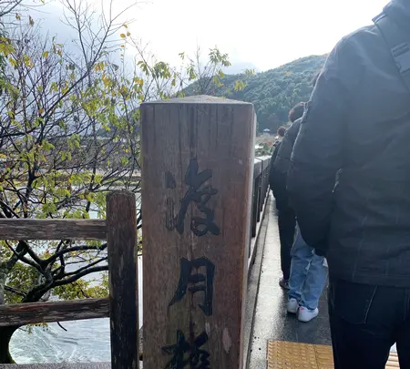 渡月橋の写真・動画_image_479538