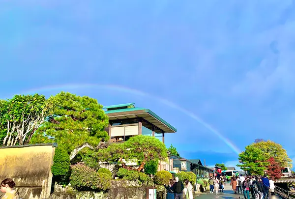 渡月橋の写真・動画_image_479543