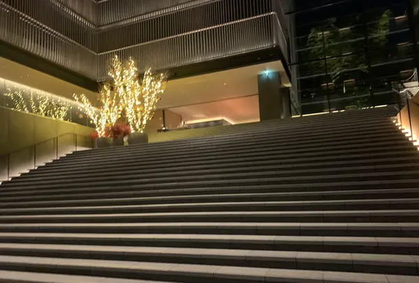 THE THOUSAND KYOTO ザ・サウザンド キョウトの写真・動画_image_479598