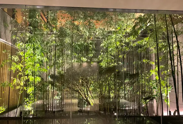 THE THOUSAND KYOTO ザ・サウザンド キョウトの写真・動画_image_479599
