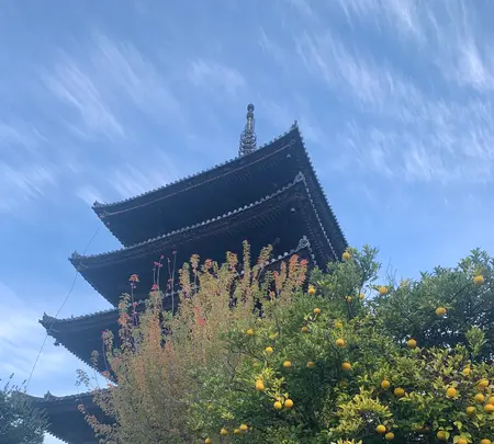 法観寺 八坂の塔の写真・動画_image_479609