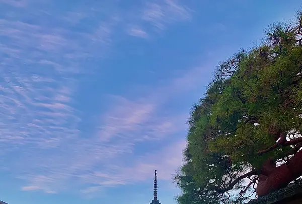 法観寺 八坂の塔の写真・動画_image_479612