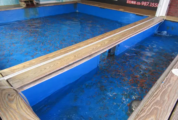湯圍溝溫泉公園の写真・動画_image_479656
