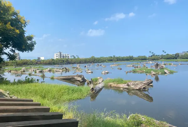 羅東林業文化園区の写真・動画_image_479698