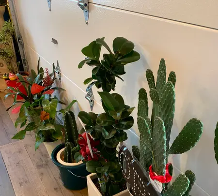 ROUTE54 BAKERY（ルート54ベーカリー）の写真・動画_image_479723