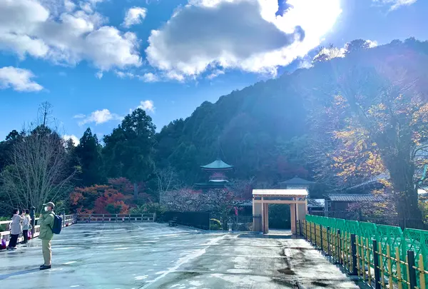 嵐山の写真・動画_image_479959