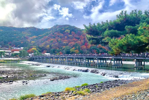 嵐山の写真・動画_image_479961