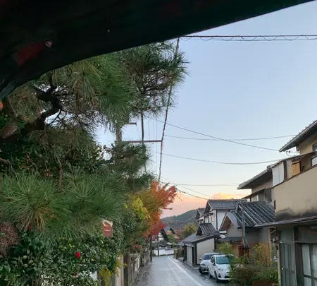 嵐山の写真・動画_image_479963