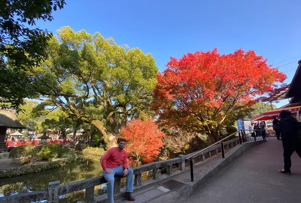 太宰府天満宮の写真・動画_image_480020