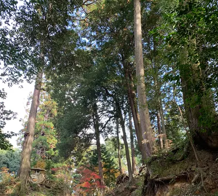 諏訪神社の写真・動画_image_480036