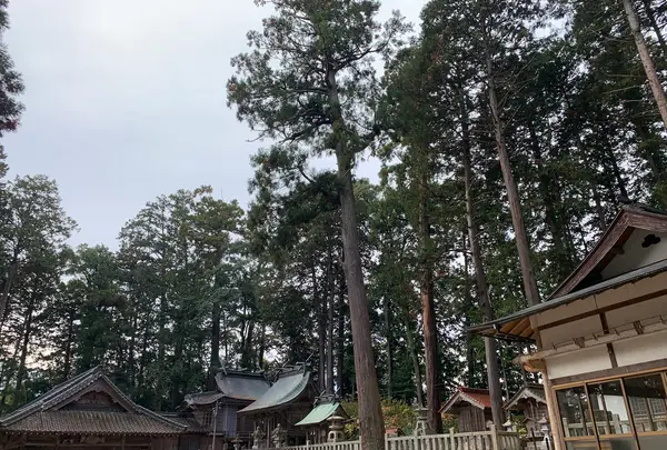 諏訪神社の写真・動画_image_480037
