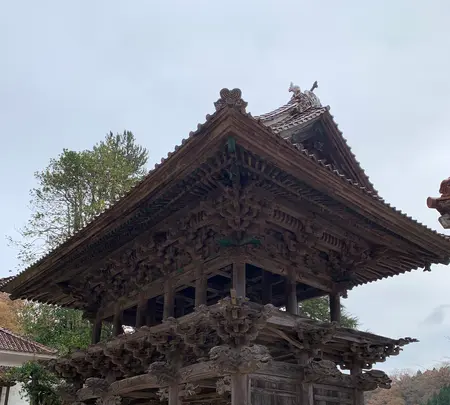 西蓮寺の写真・動画_image_480045