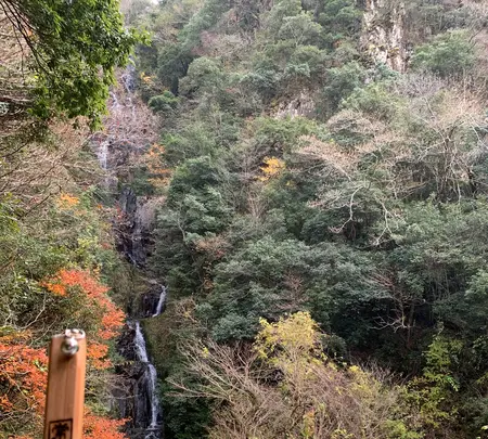 常清滝の写真・動画_image_480050