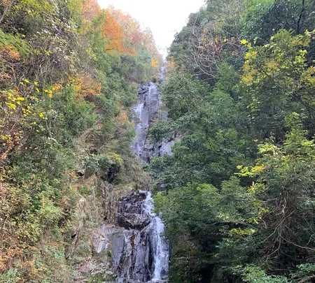 常清滝の写真・動画_image_480051