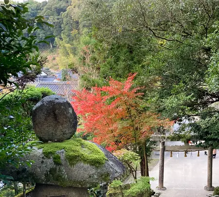 玉作湯神社の写真・動画_image_480274