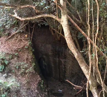 チバニアン 地球磁場逆転地層の写真・動画_image_480357