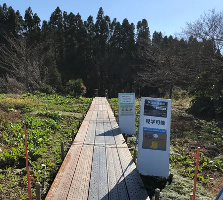 チバニアン 地球磁場逆転地層の写真・動画_image_480358