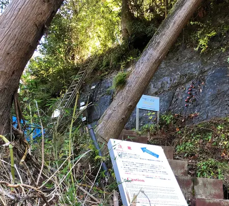 チバニアン 地球磁場逆転地層の写真・動画_image_480360